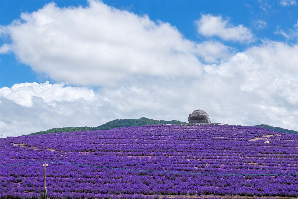 真駒内滝野霊園の景観